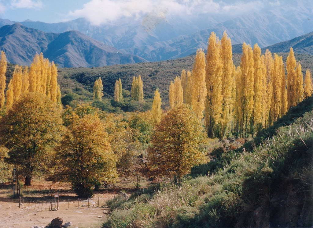 Paisaje de los valles de Famatina