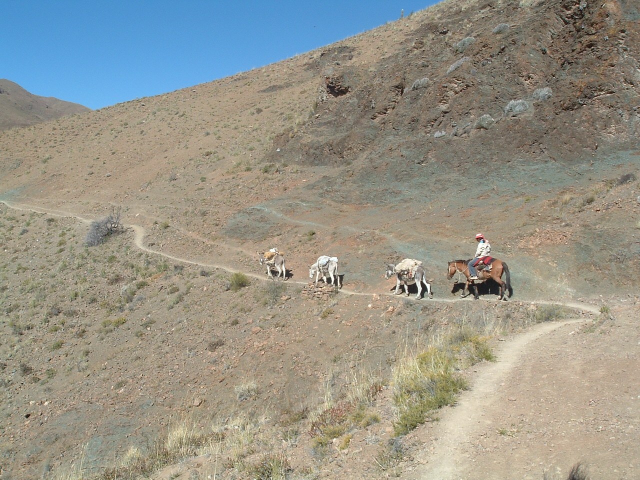 Route between Abra de Chaupiyaco and Las Capillas, Salta